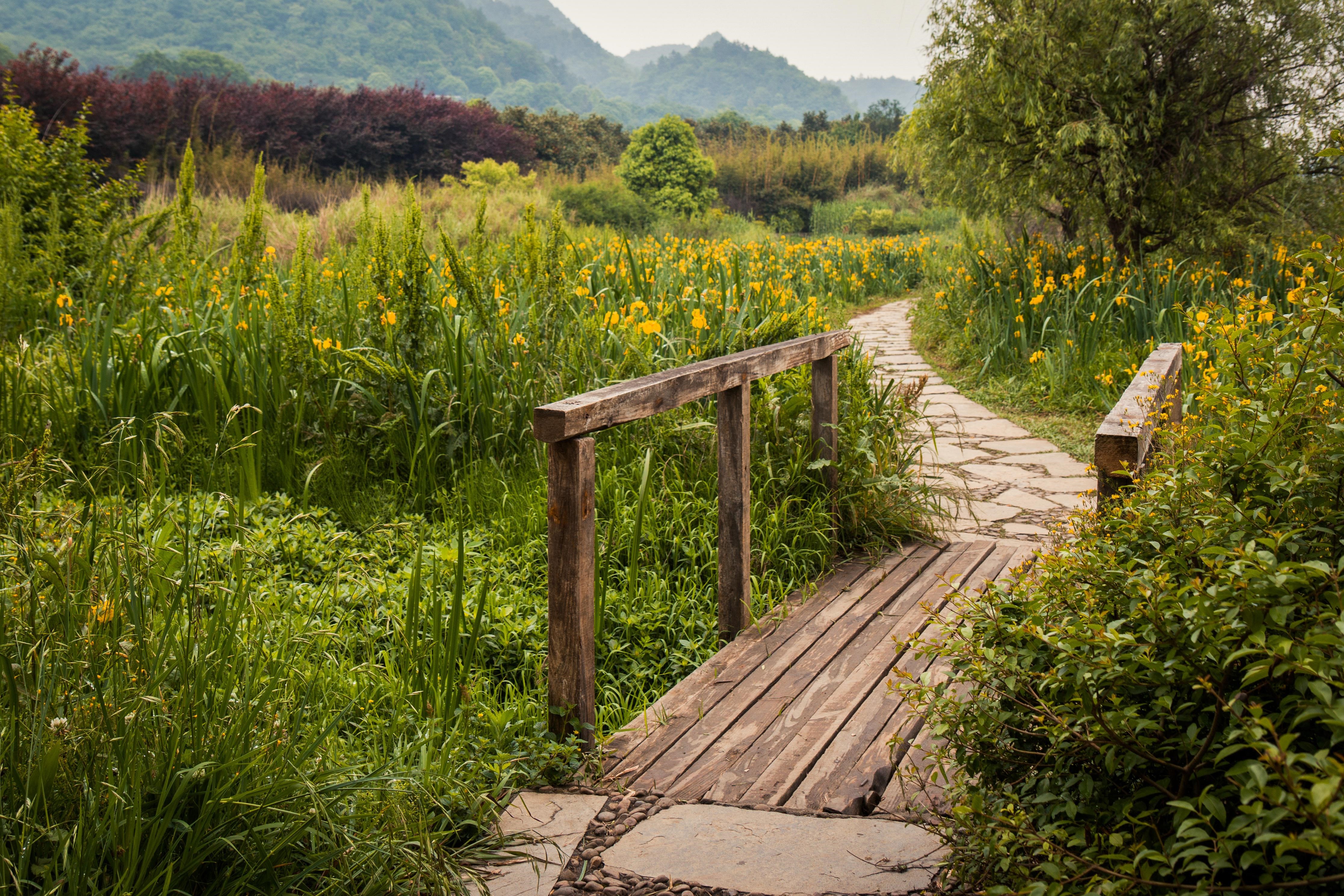 Holzbrücke auf einer Wiese